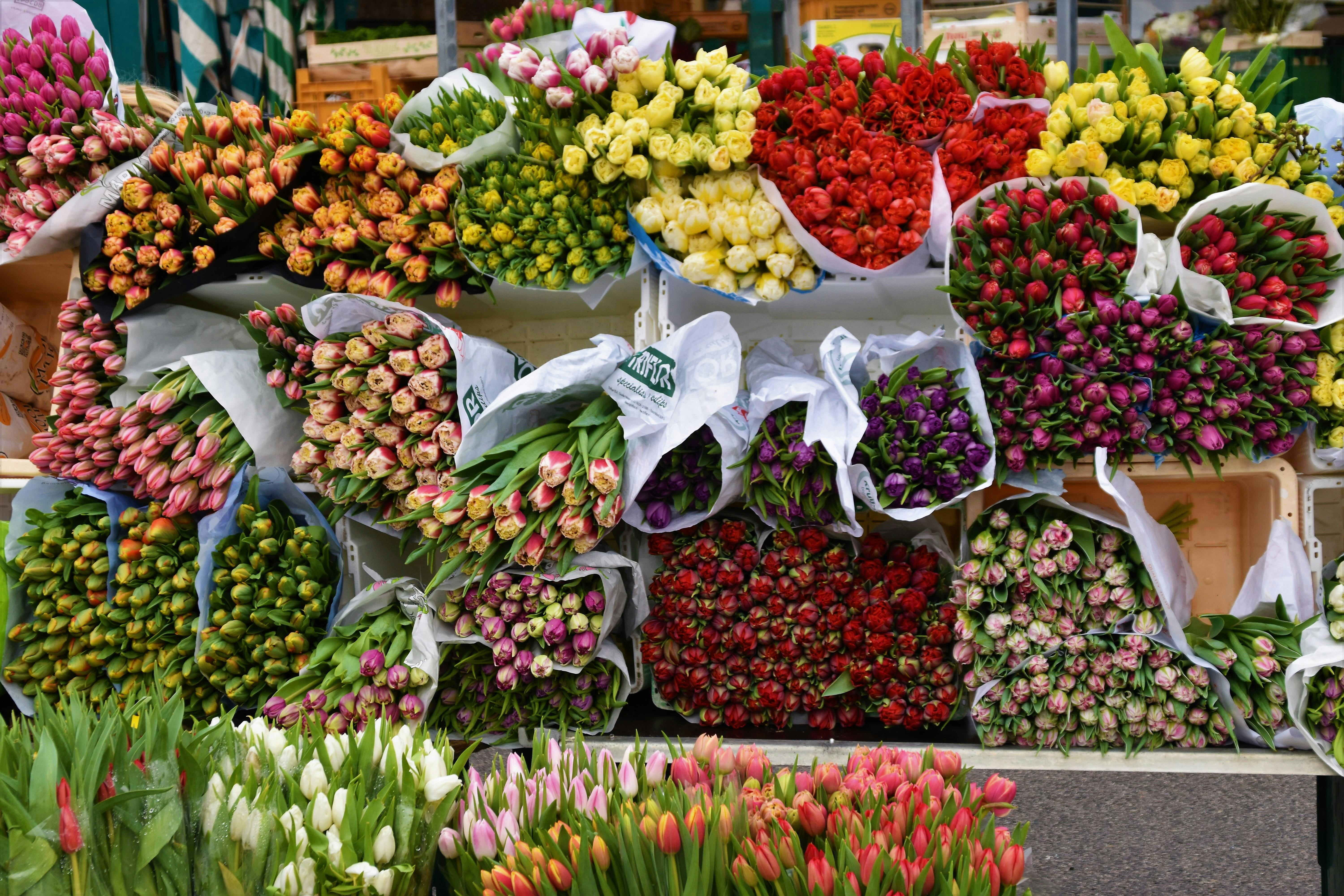 Die optimale Standortwahl für Ihren Blumenautomaten